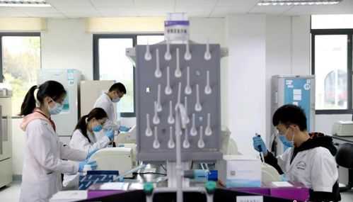 研究生被師哥師姐要求打雜，該說“不”嗎？——新材料技術(shù)開發(fā)中的成長智慧